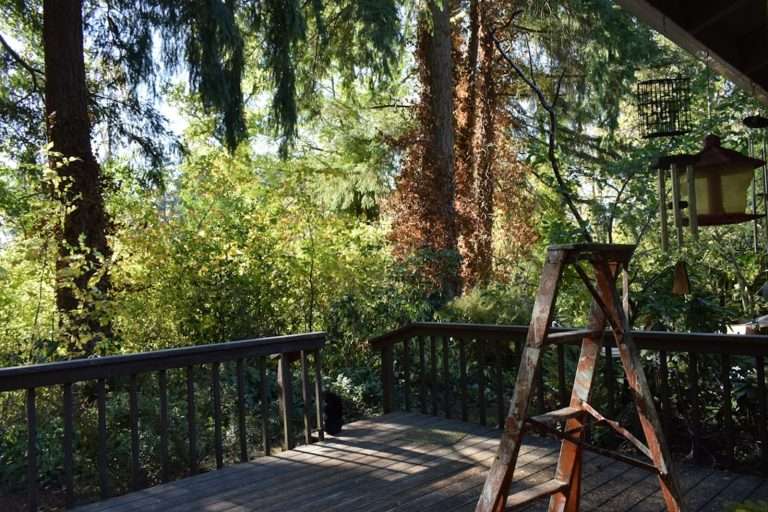 beautiful outdoor deck - composite deck vs wood cost
